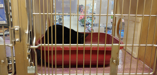 Pet Supply Store «PetSmart», reviews and photos, 2028 Miamisburg Centerville Rd, Dayton, OH 45459, USA