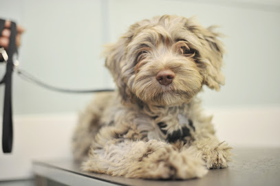 Craemill Veterinary Clinic en Magherafelt