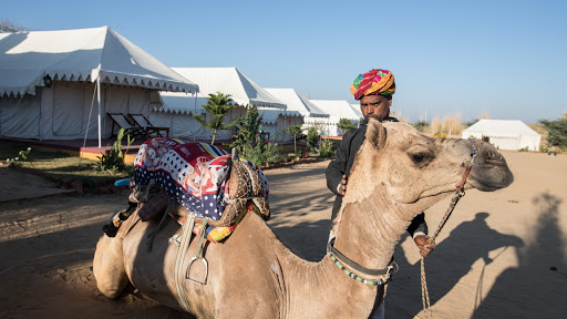 Pushkar Adventure Camp & Camel Safari
