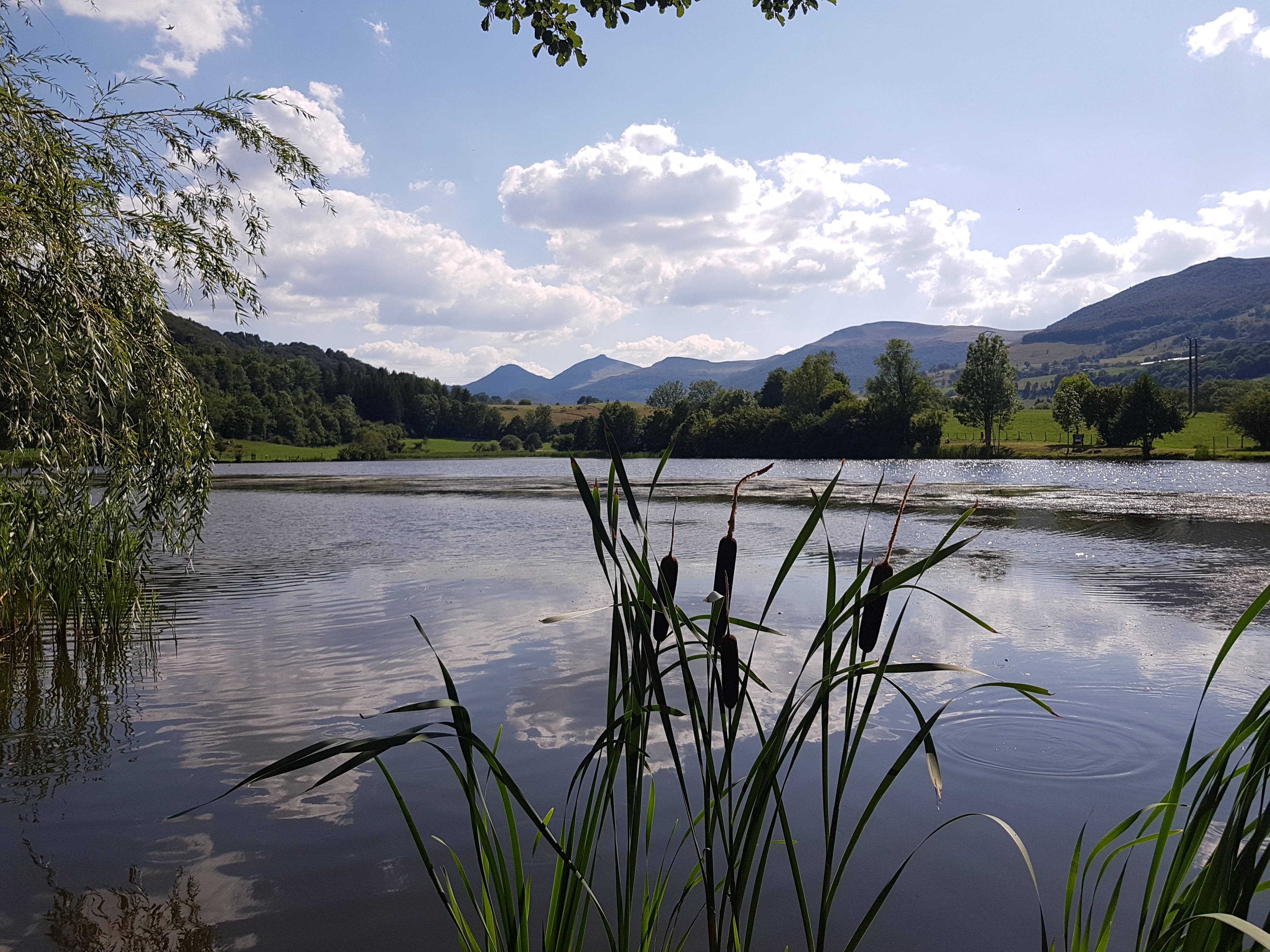Photo n° 3 de l'avis de Lety.e fait le 09/10/2019 à 22:33