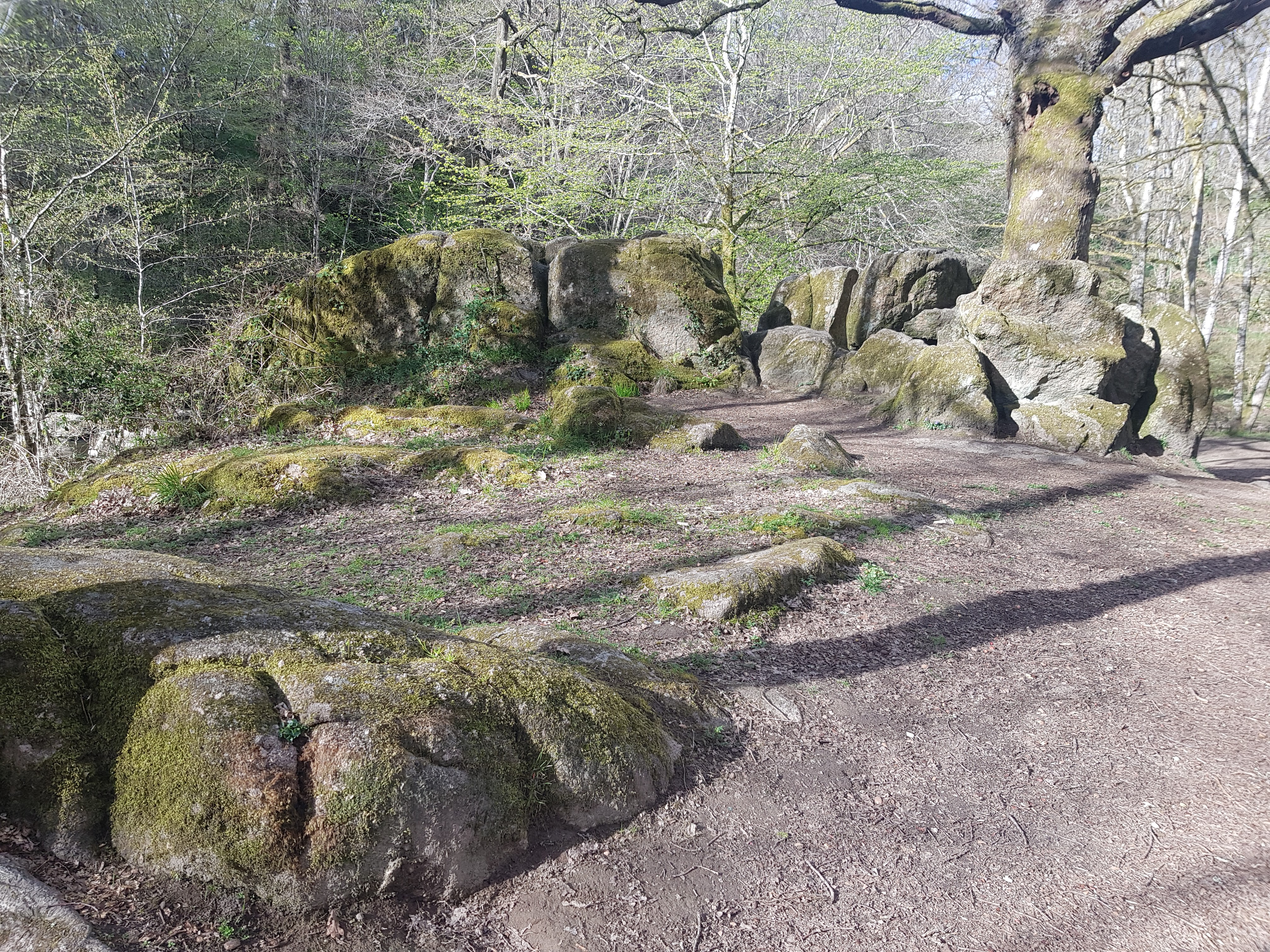 Photo n° 2 de l'avis de zaz.o fait le 24/04/2019 à 04:46