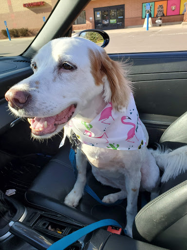 Pet Supply Store «PetSmart», reviews and photos, 11200 Prairie Lakes Dr, Eden Prairie, MN 55344, USA