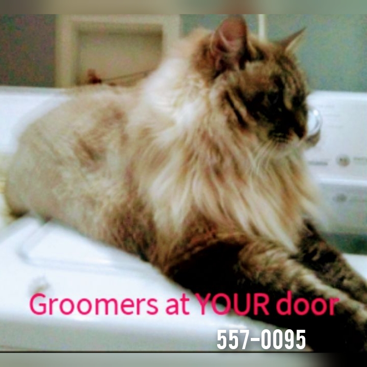 Groomers at YOUR door