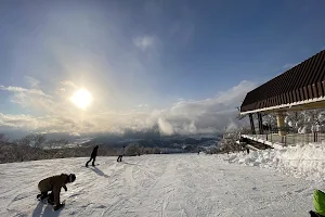 Ski Jam Katsuyama Dog Run Park image