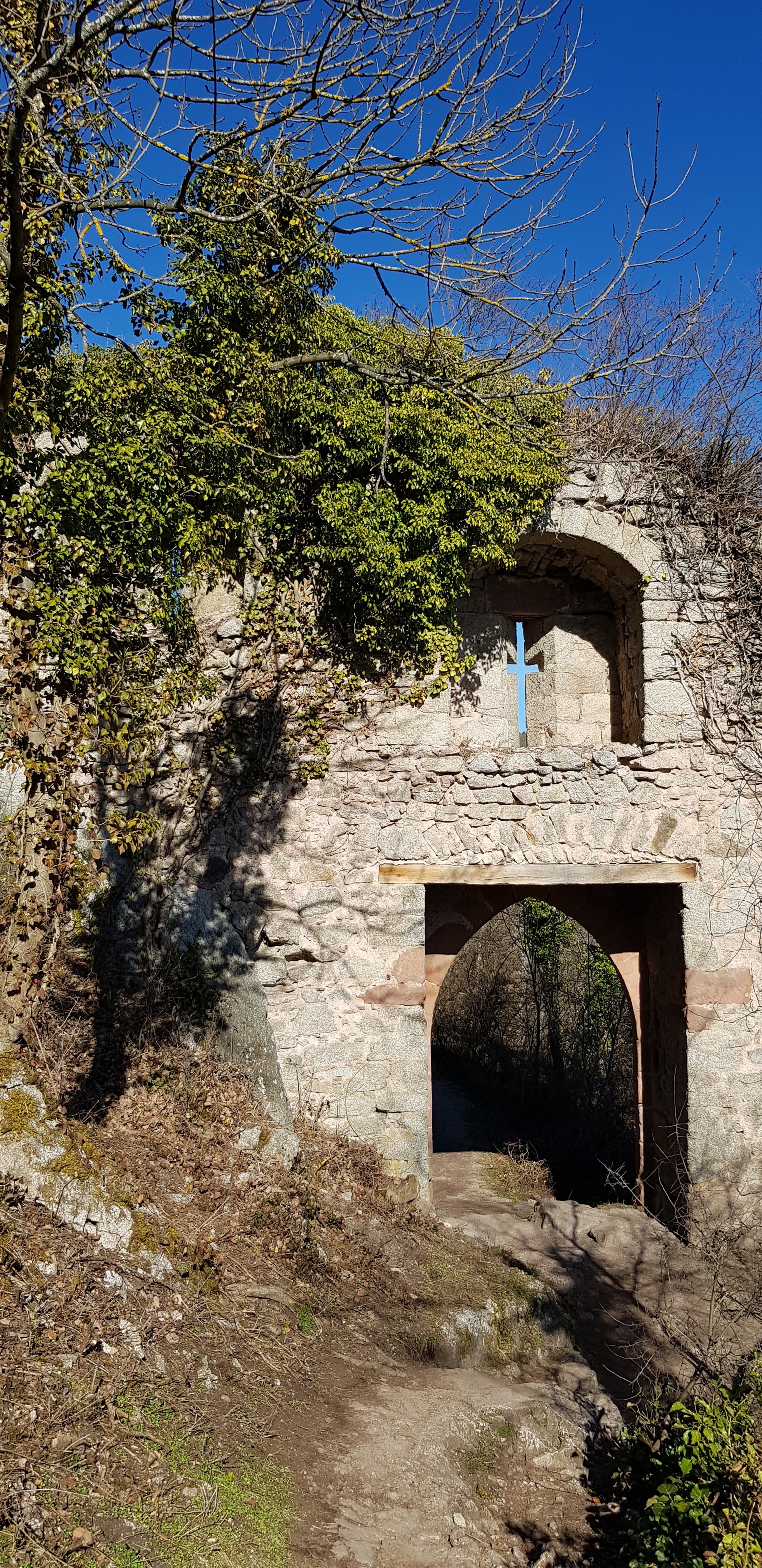 Photo n° 5 de l'avis de Denis.� fait le 21/02/2019 à 07:01