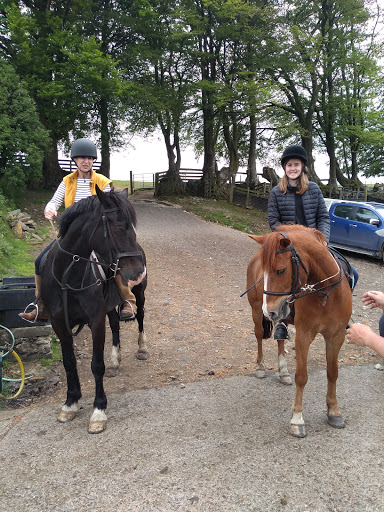 Horse riding lessons Plymouth