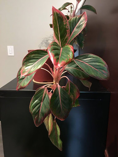 Employment Agency «Express Employment Professionals - Downtown Salt Lake City, UT», reviews and photos, 124 S 400 E Suite 350, Salt Lake City, UT 84111, USA