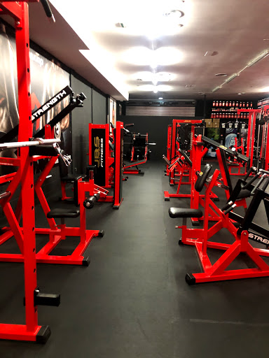GIMNASIO IRUN PRO STRENGTH en Irun, Guipúzcoa