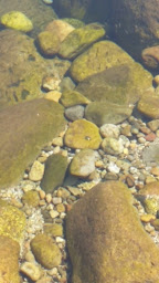 Photo n°7 de Chez Eugene à Ventiseri ()