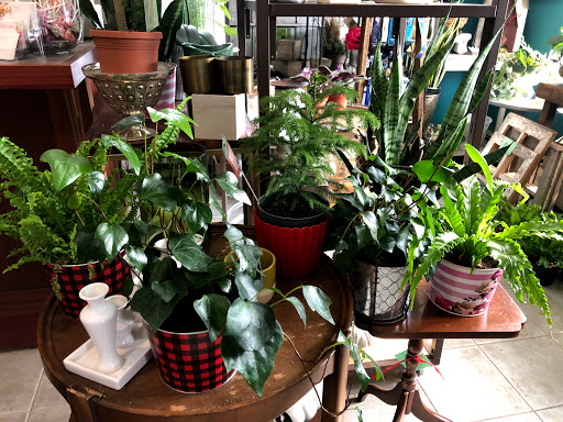 Florist «Flowers On the Green», reviews and photos, 959 Boston Post Rd, Guilford, CT 06437, USA