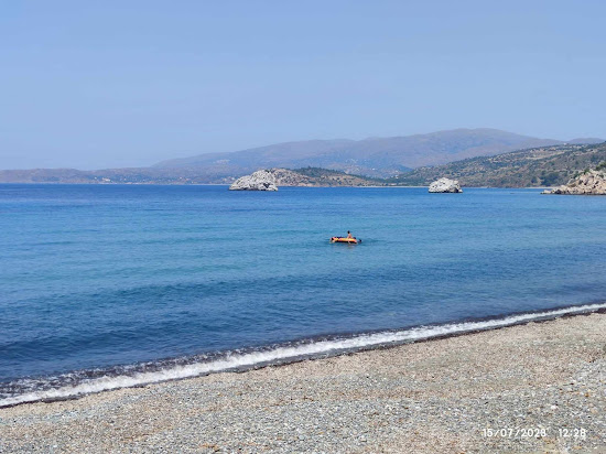 Beach Papalia