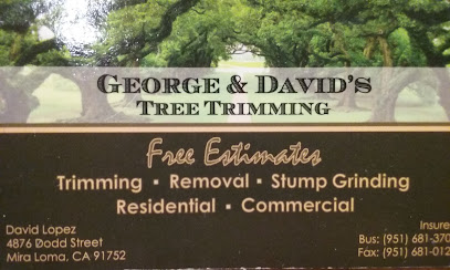 George & Davids Tree Trimming