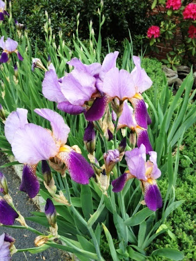 Funeral Home «Ely Funeral Home», reviews and photos, 3316 NJ-33, Neptune City, NJ 07753, USA