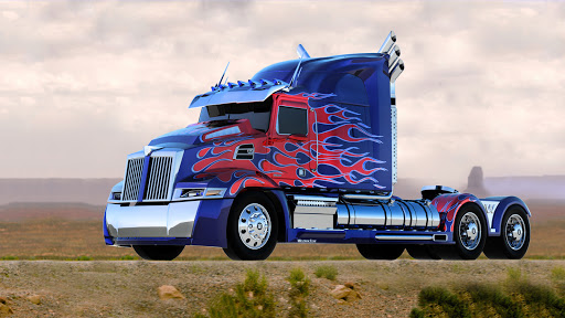 BRIGGHT LIFE TRUCKING SCHOOL