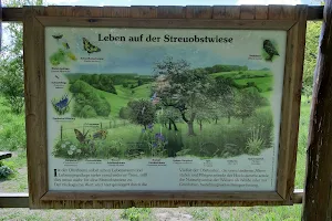 Streuobstwiese image