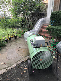 Pro Heat Bed Bug Removal - Photo 4 - Car repair in Philadelphia, PA, Philadelphia