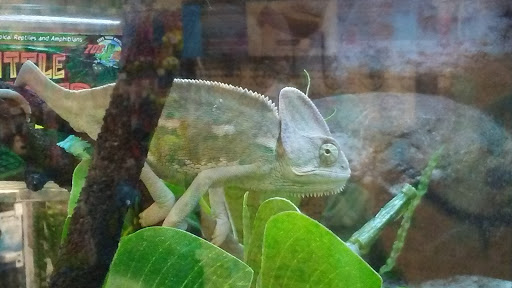 Pet Supply Store «Petco Animal Supplies», reviews and photos, 9004 Vernon Rd, Lake Stevens, WA 98258, USA