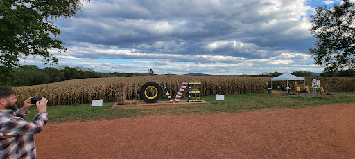 Pumpkin Patch «Liberty Mills Farm», reviews and photos, 9166 Liberty Mills Rd, Somerset, VA 22972, USA