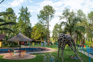 Pine Forest Pre-Primary School - photo 1