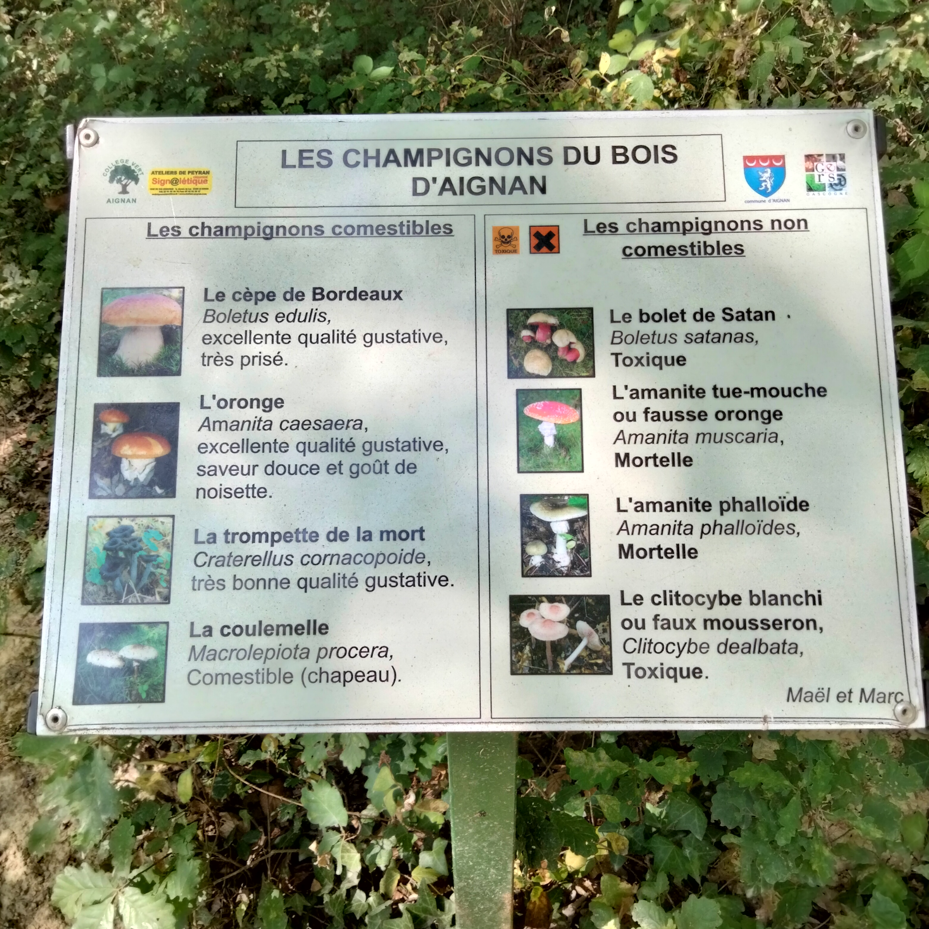 Photo n° 7 de l'avis de Jean-baptiste.r fait le 14/02/2023 à 09:16