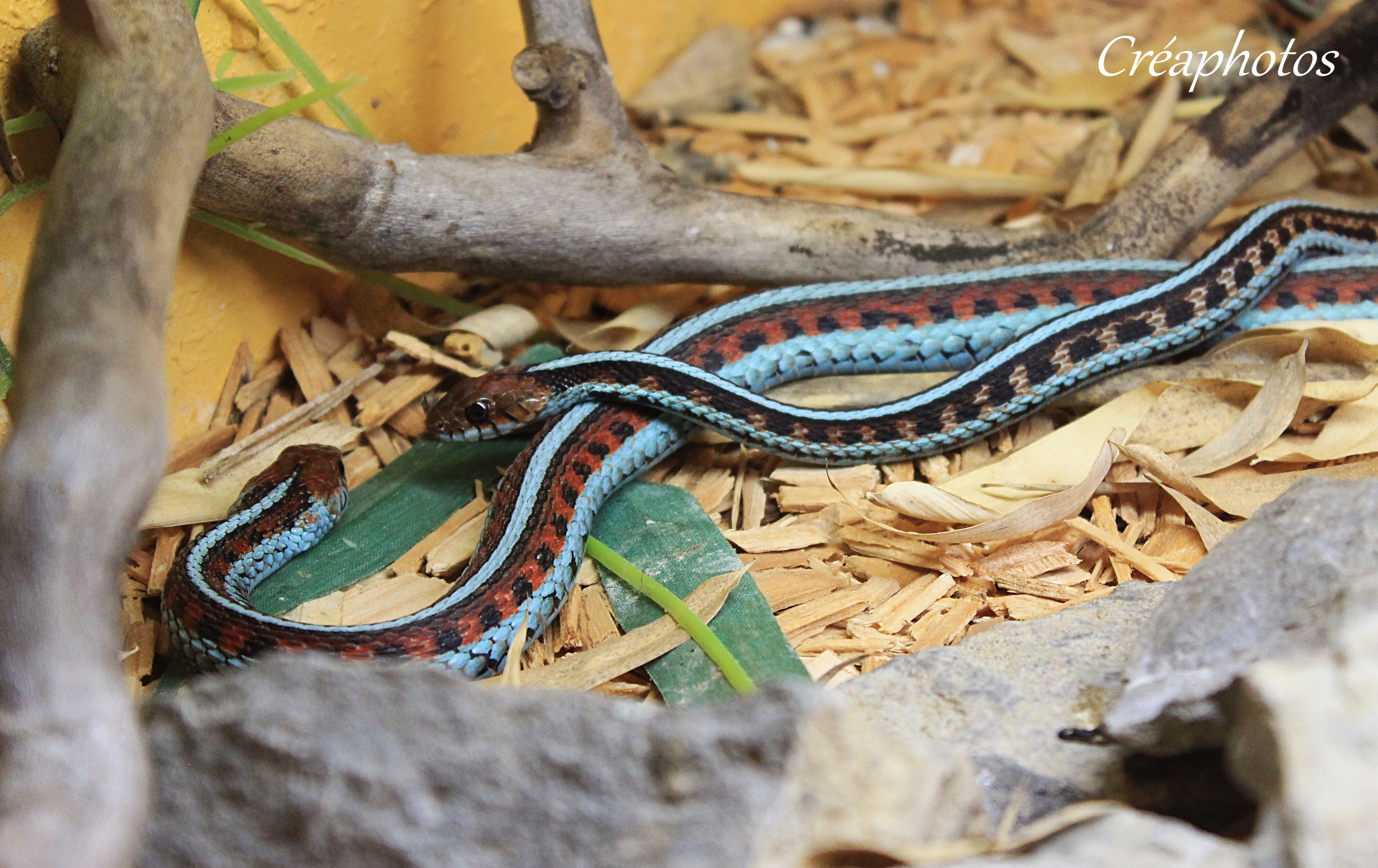 Photo n° 4 de l'avis de Amandine.r fait le 28/06/2021 à 15:42