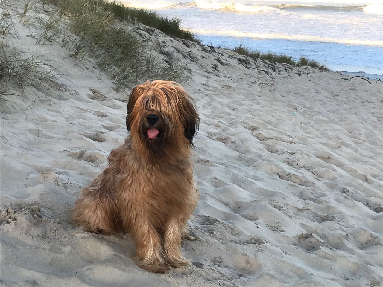 Photo n° 1 de l'avis de Bernard. fait le 02/08/2018 à 07:03
