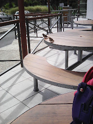 Photo n°12 de McDonald's à Tours ()