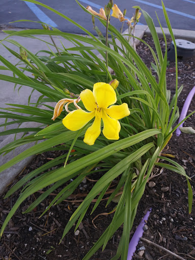 Pet Supply Store «PetSmart», reviews and photos, 1530 Froom Ranch Way, San Luis Obispo, CA 93405, USA