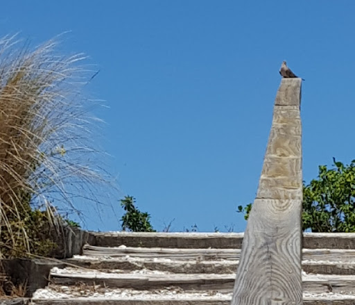 Nature Preserve «Emerson Point Preserve», reviews and photos, 5801 17th St W, Palmetto, FL 34221, USA