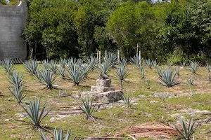 Hacienda Antigua image