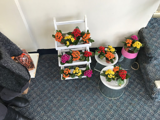 Florist «Amber Flower & Gift Shop», reviews and photos, 117 E Park Ave, Libertyville, IL 60048, USA