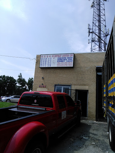 Auto Body Shop «Syrena Auto Body Shop Inc», reviews and photos, 6201 Oxford Ave, Philadelphia, PA 19111, USA