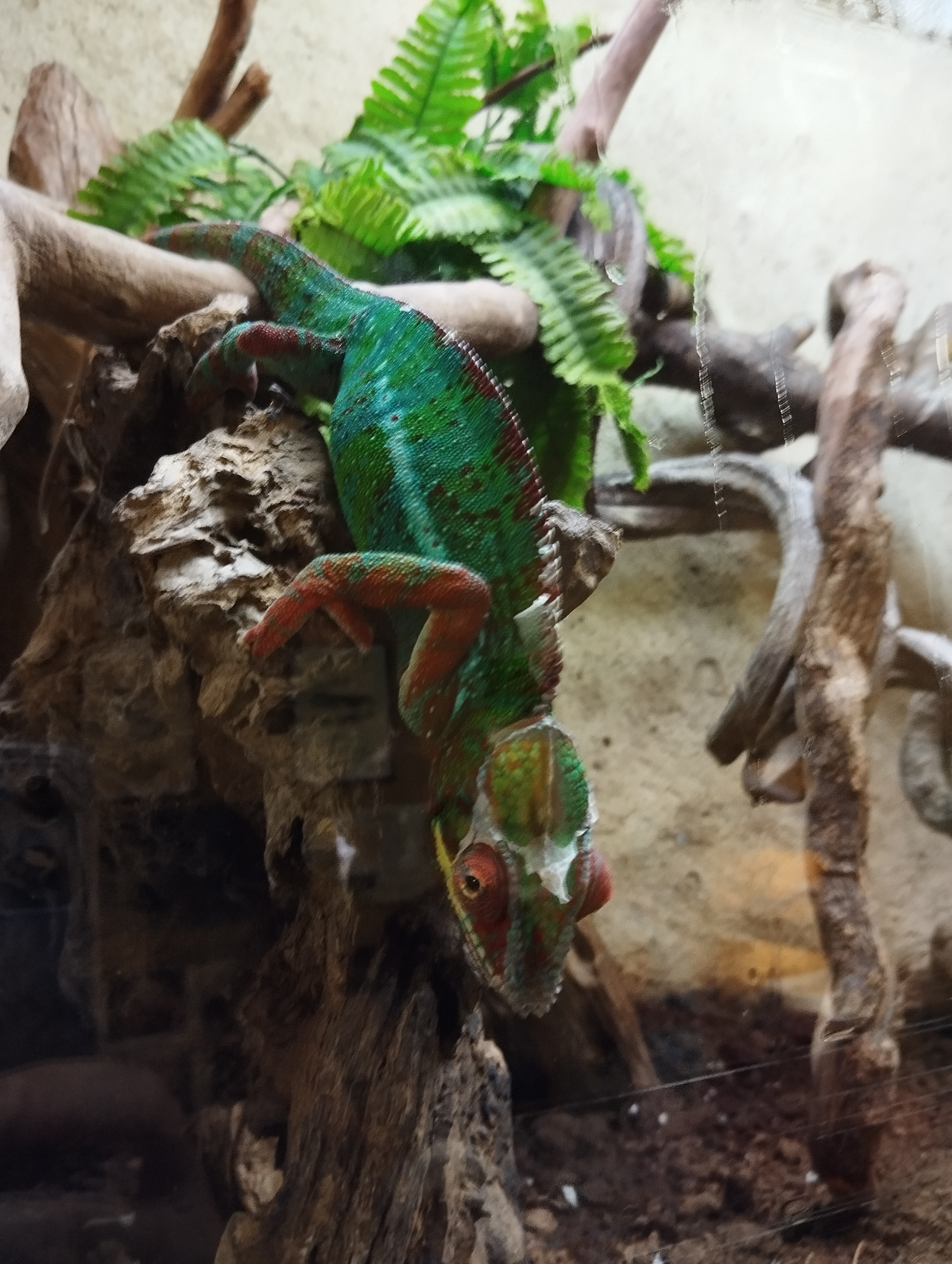 Photo n° 10 de l'avis de Seb.e fait le 17/07/2023 à 19:09