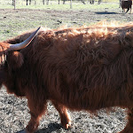 Photo n°7 de l'avis de Andrea.� fait le 02/11/2018 à 09:19 sur le  Altsächsischer Gasthof Kleines Vorwerk à Sayda