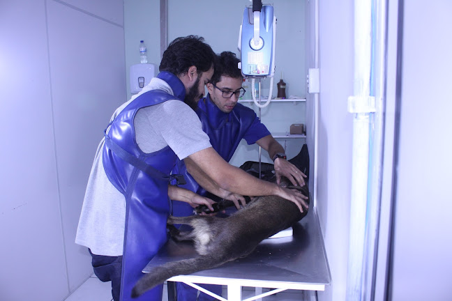 Avaliações sobre XR Diagnóstico Veterinário em Belo Horizonte - Veterinário