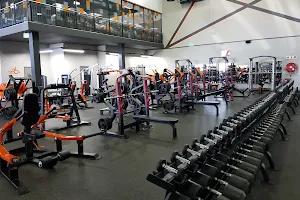 Planet Fitness - Just Gym - Randfontein image