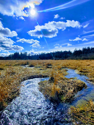 Park «N. Creek Park», reviews and photos, 1011 183rd St SE, Bothell, WA 98012, USA