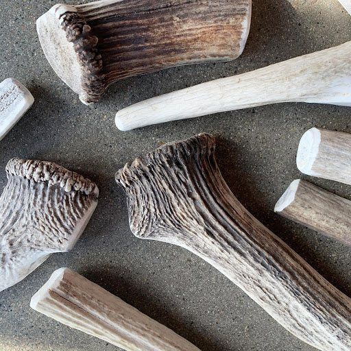 Pet Store «Shop Dog Boutique», reviews and photos, 5015 S Western Ave, Sioux Falls, SD 57108, USA