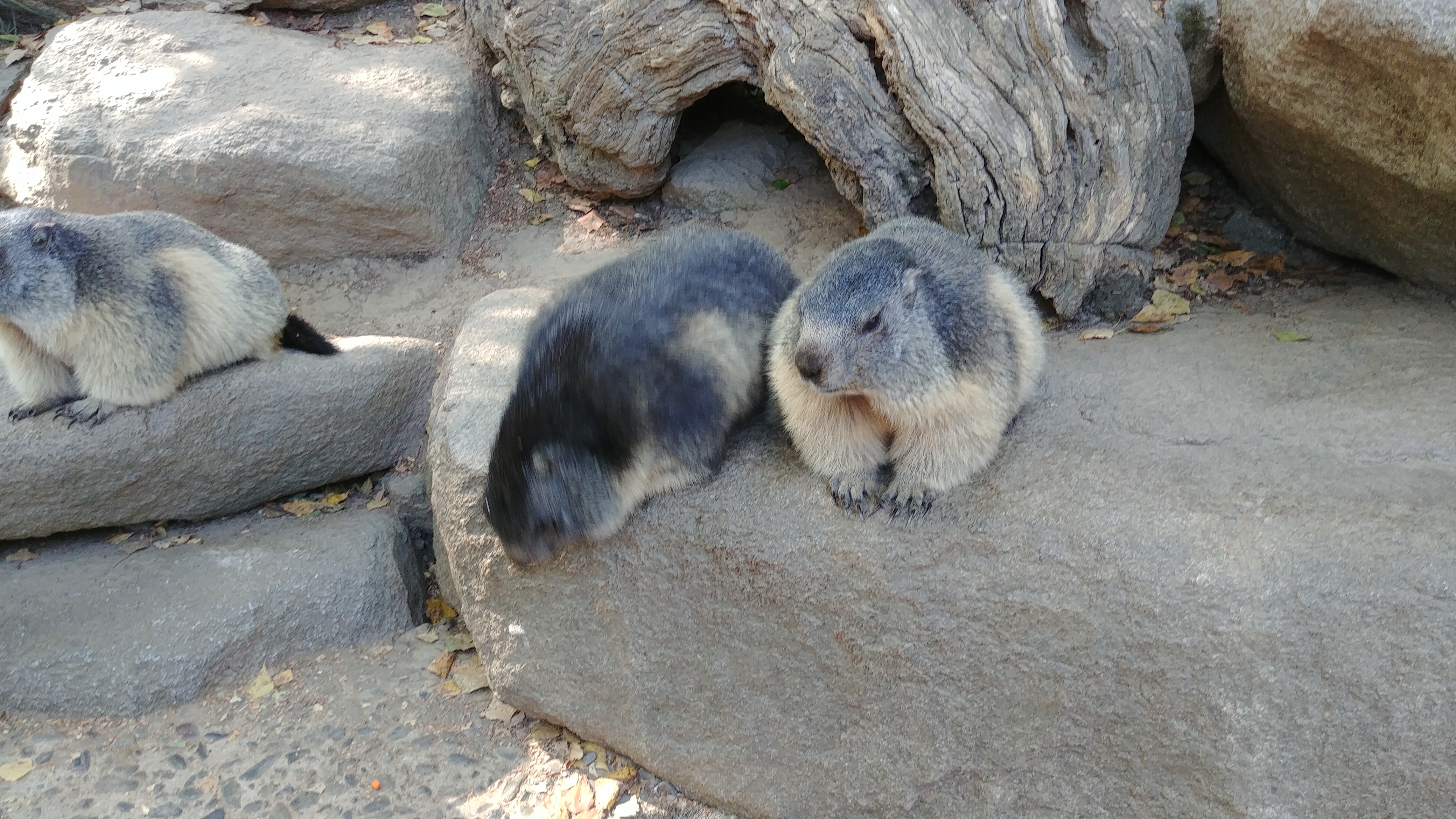Photo n° 3 de l'avis de Dada.e fait le 30/09/2018 à 20:26
