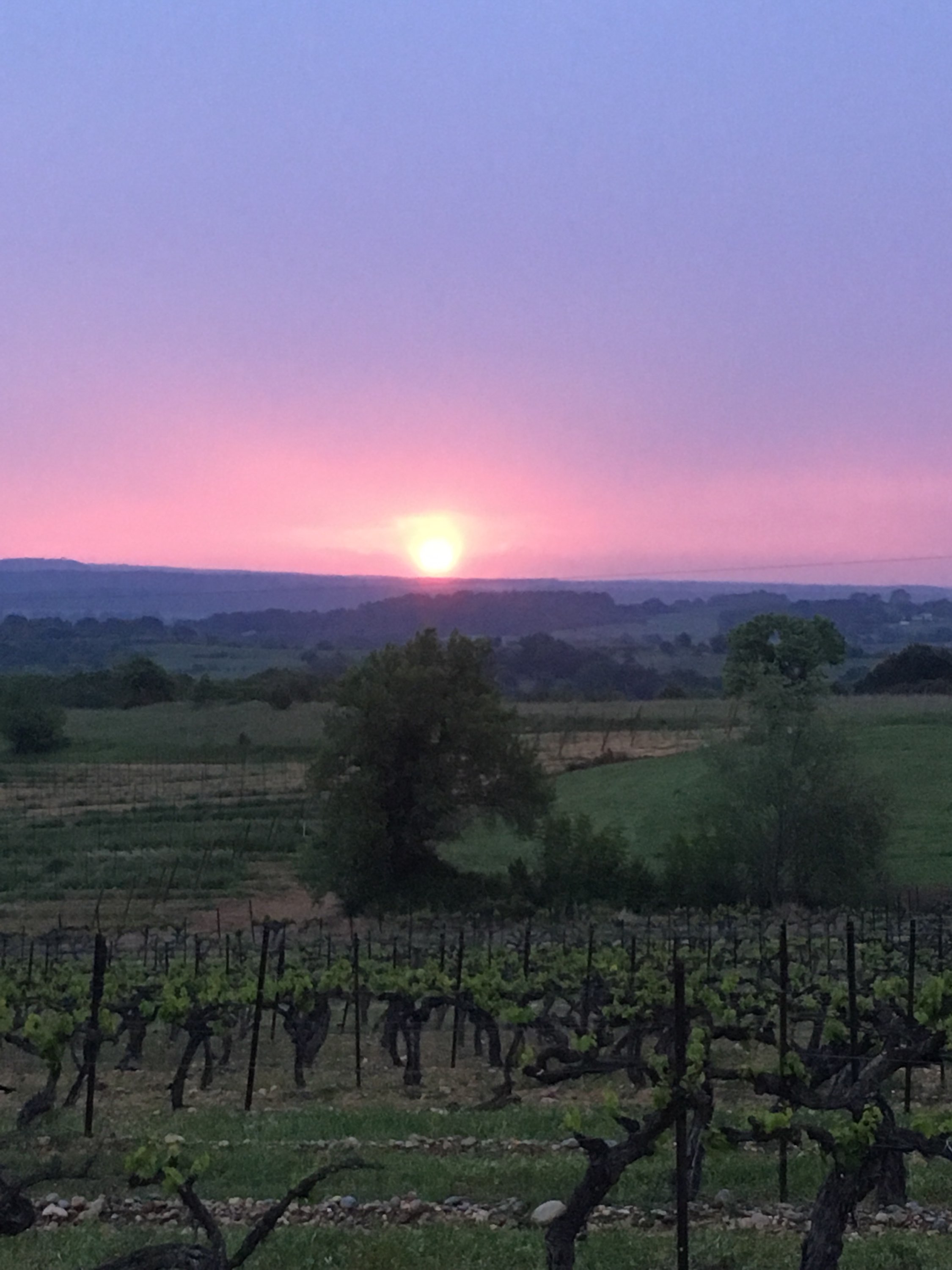 Photo n° 1 de l'avis de Florent.A fait le 20/05/2018 à 12:40