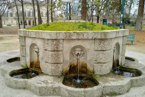 Fontana dell'acqua marcia image