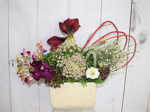 Plant Nursery «Potomac Petals and Plants», reviews and photos, 9545 River Rd, Rockville, MD 20854, USA