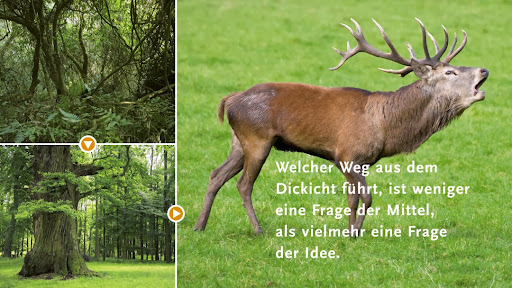 Wildpark GrafikDesign - Düsseldorf