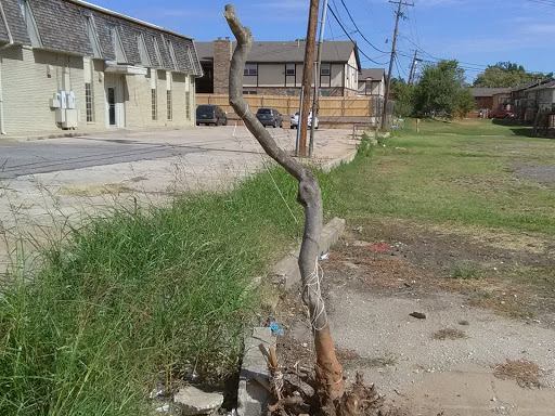 Social Services Organization «Other Options», reviews and photos