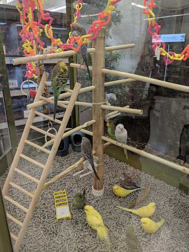 Pet Supply Store «Petco Animal Supplies», reviews and photos, 13127 N Dale Mabry Hwy, Tampa, FL 33618, USA