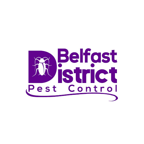 Belfast Pest Control - Low cost - Belfast