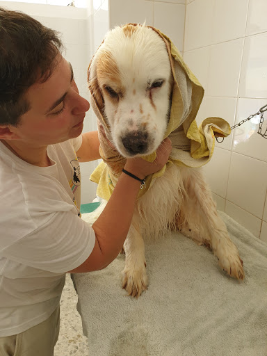 Pensioni per cani e dog hotel a POKER D'OSSI