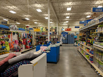 PetSmart - Photo 3 - Car repair in Windsor, ON, Canada, Detroit