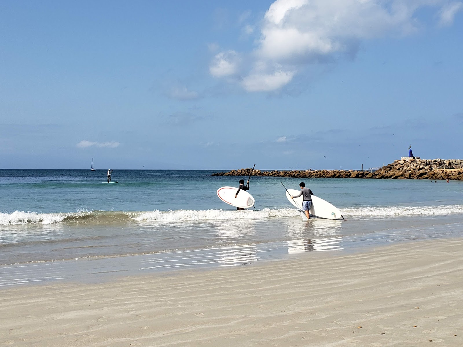 Zdjęcie Punta Mita beach z poziomem czystości wysoki