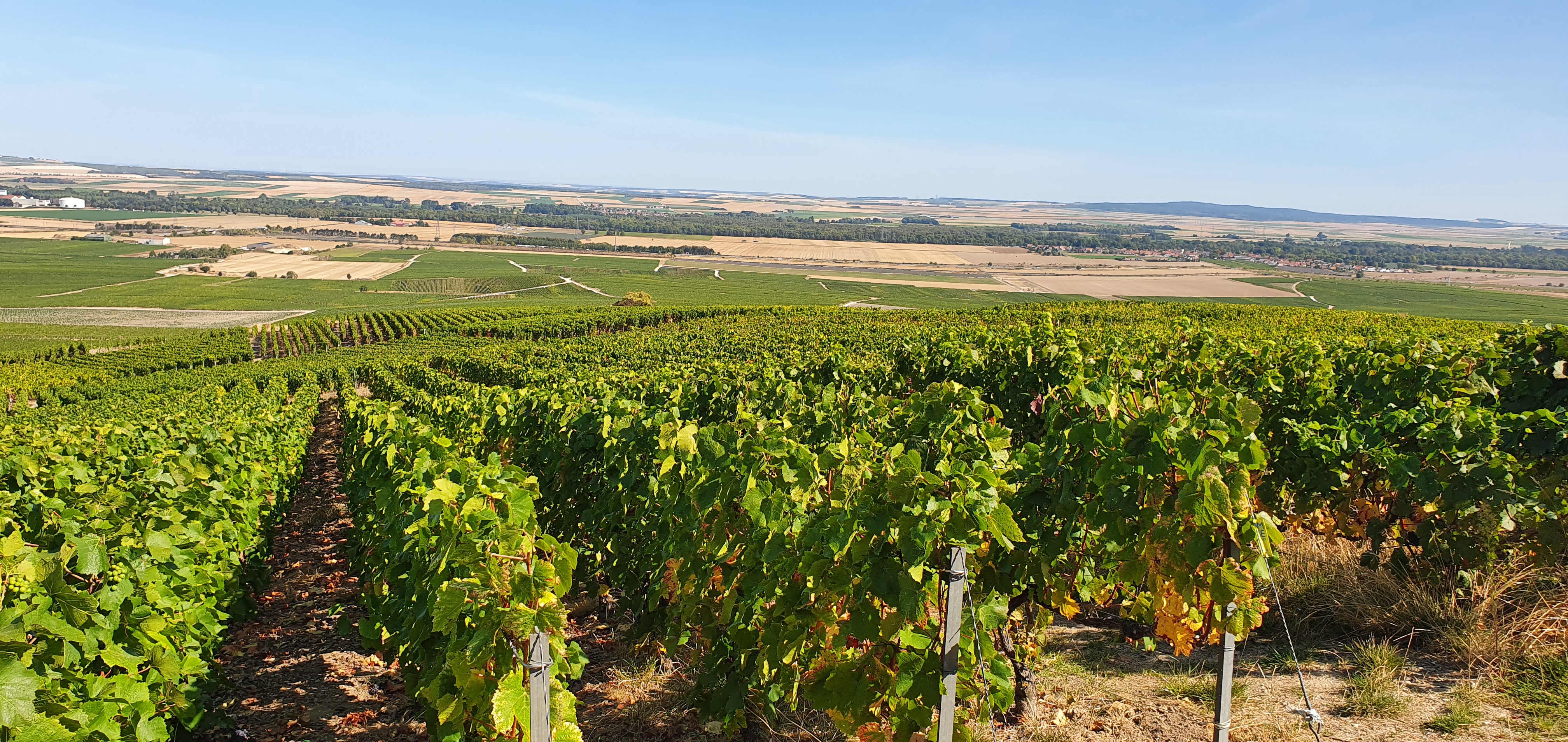 Photo n° 3 de l'avis de VANDA. fait le 20/09/2020 à 11:02